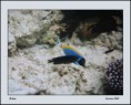 /album/galleria-foto-egitto/egitto2-jpg/
