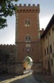 /album/galleria-foto-toscana/bolgheri-jpg/
