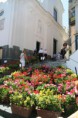 /album/galleria-foto-campania/capri-jpg/