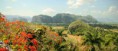 /album/galleria-foto-cuba/vinales2-jpg/